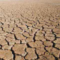 Wie wir die Klimakatastrophe verhindern eine Zusammenfassung