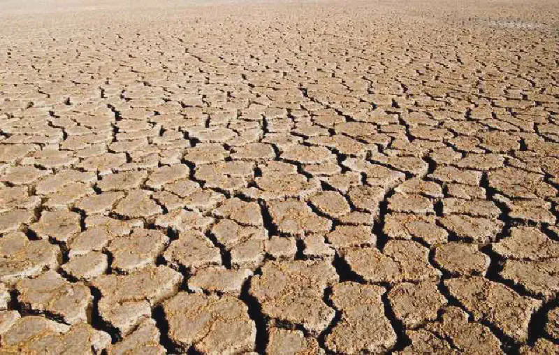 Featured image of post Wie wir die Klimakatastrophe verhindern eine Zusammenfassung